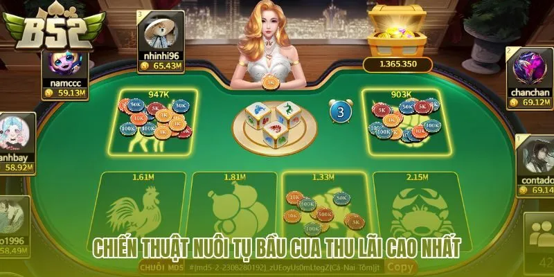 chien-thuat-nuoi-tu-bau-cua-thu-lai-cao-nhat