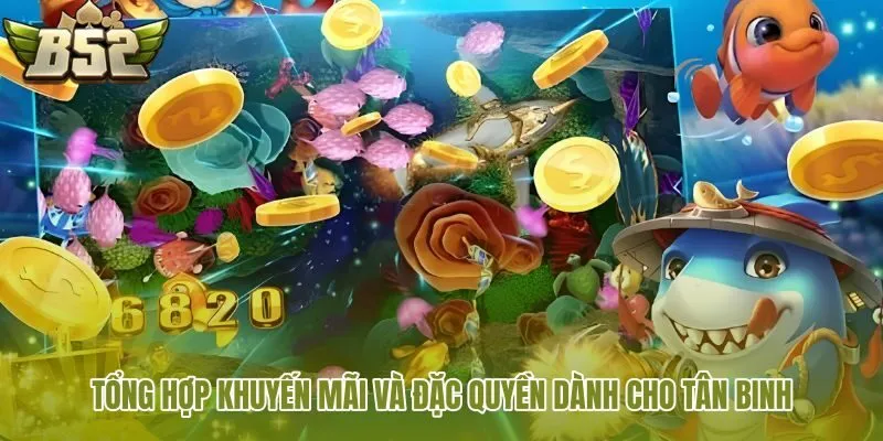 tong hop khuyen mai va dac quyen danh cho tan binh